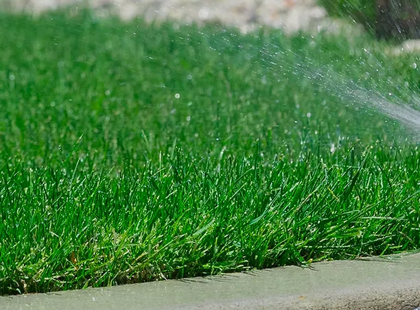 Irrigation System